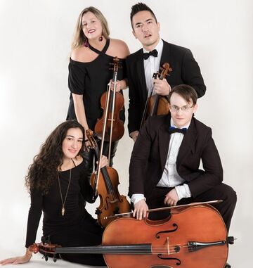 Velveteen Ensemble - String Quartet - Miami, FL - Hero Main