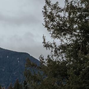 Gallery Photo 10
