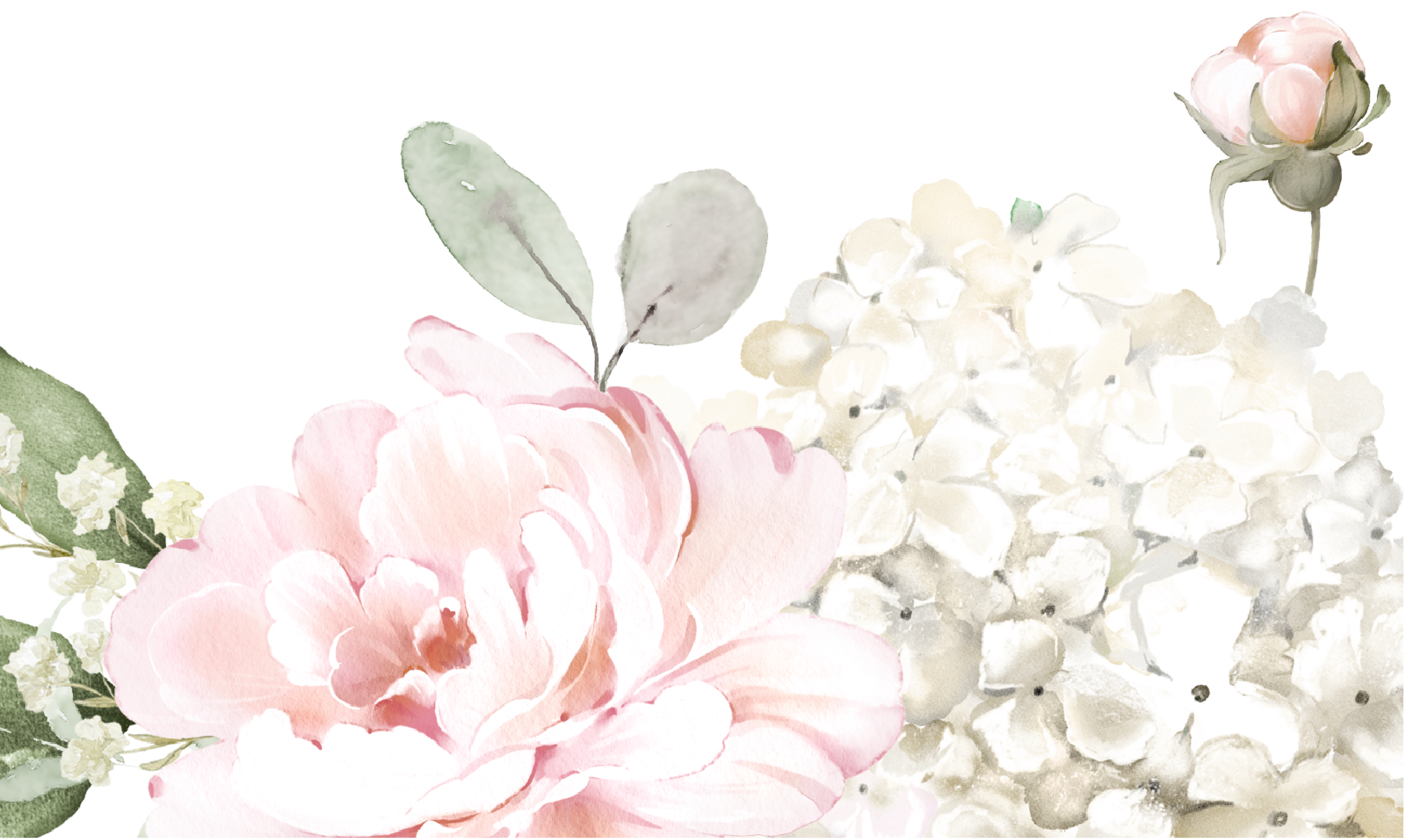 Bottom Theme Image
