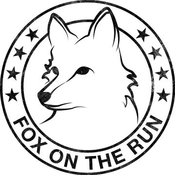 Fox on the run band - Cover Band - Boston, MA - Hero Main