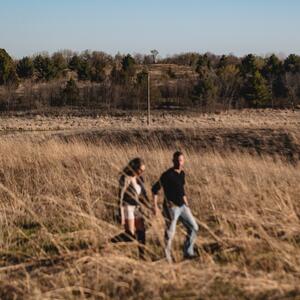 Gallery Photo 36