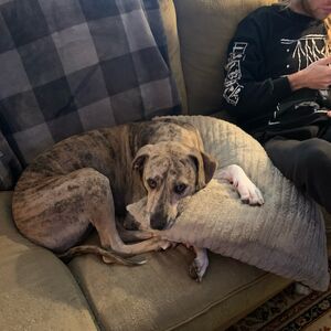 Gallery Photo 23