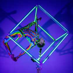 Circus Artist McKenna Wilkins, profile image