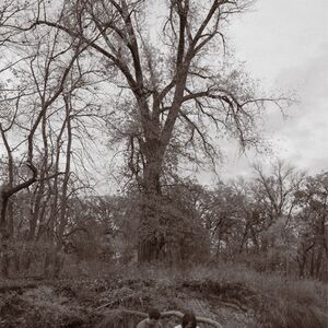 Gallery Photo 26