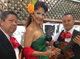 Reyna y su Trio - Mariachi Band - San Jose, CA - Hero Gallery 2