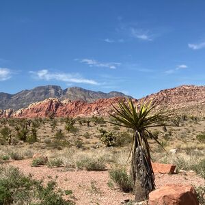 Gallery Photo 20