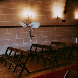 Gallery Photo 42