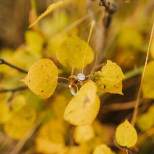 Gallery Photo 67