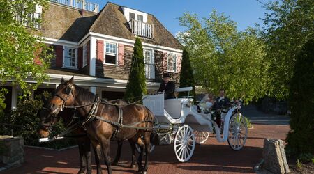 COACH®: Horse And Carriage Valet