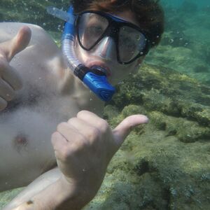 Gallery Photo 51