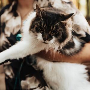 Gallery Photo 1