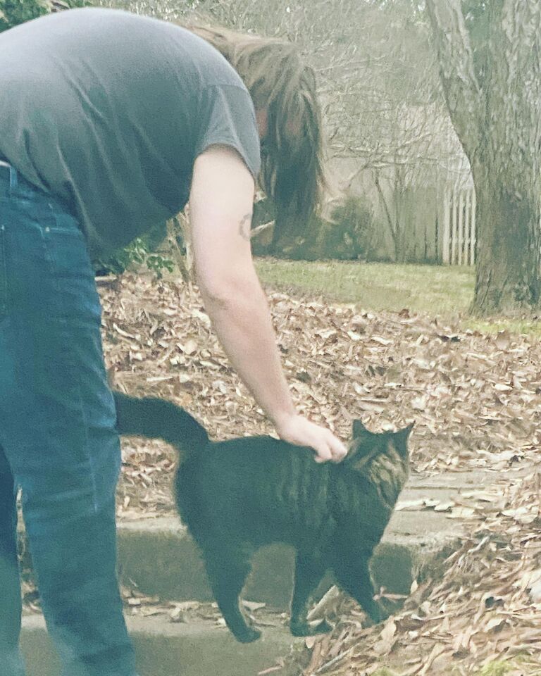 Sometimes the mysterious outdoor cat visits, Sam calls him "The Good Cat."