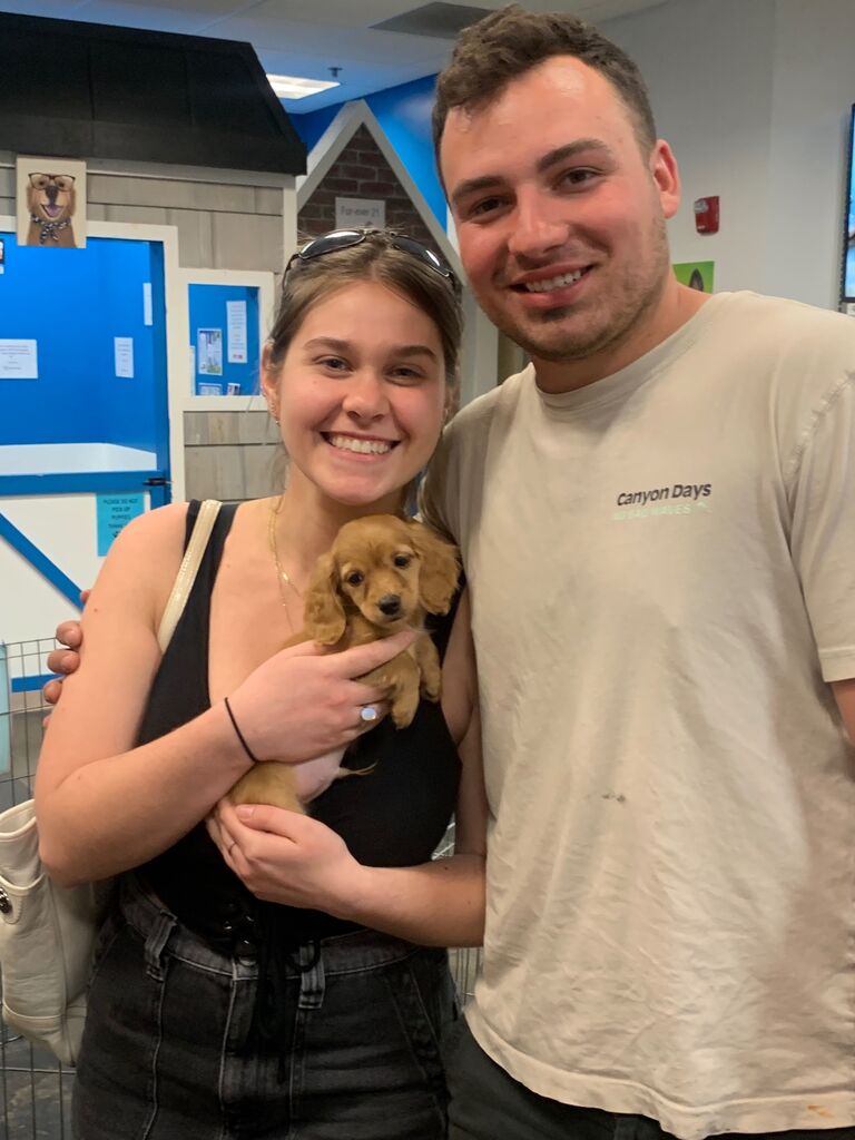 Newest Addition to the Fam- Meet Theo! 