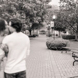 Gallery Photo 10