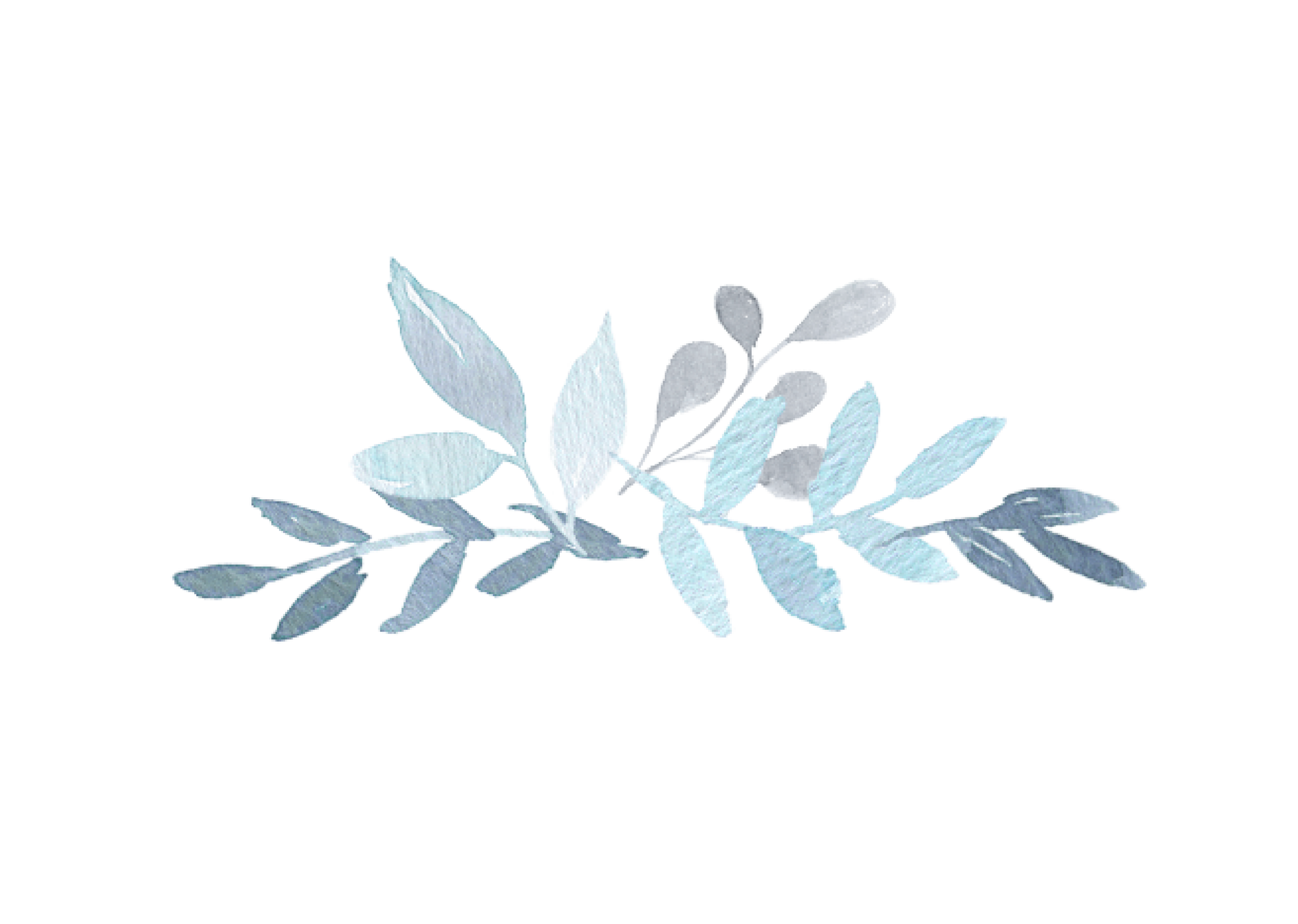 Top Theme Image
