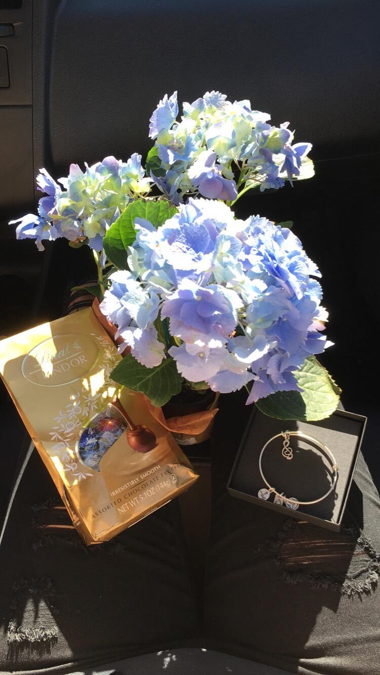 Kevin remembered hydrangeas were one of my favorite flowers so he got me a whole plant! This was only 1 month in, so he didn't know I wasn't a plant person. The hydrangeas didn't make it past a week.