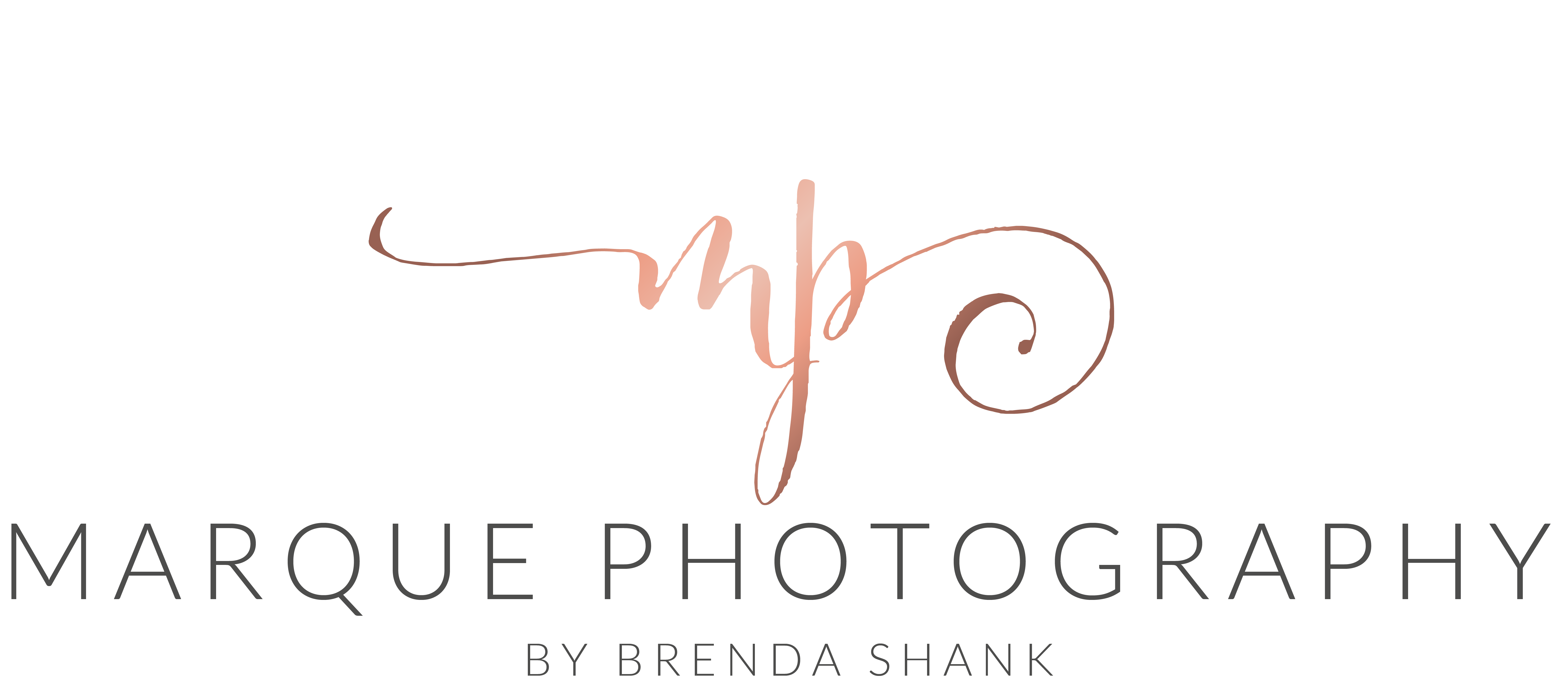 Marque Photography by Brenda Shank | Wedding Photographers - The Knot