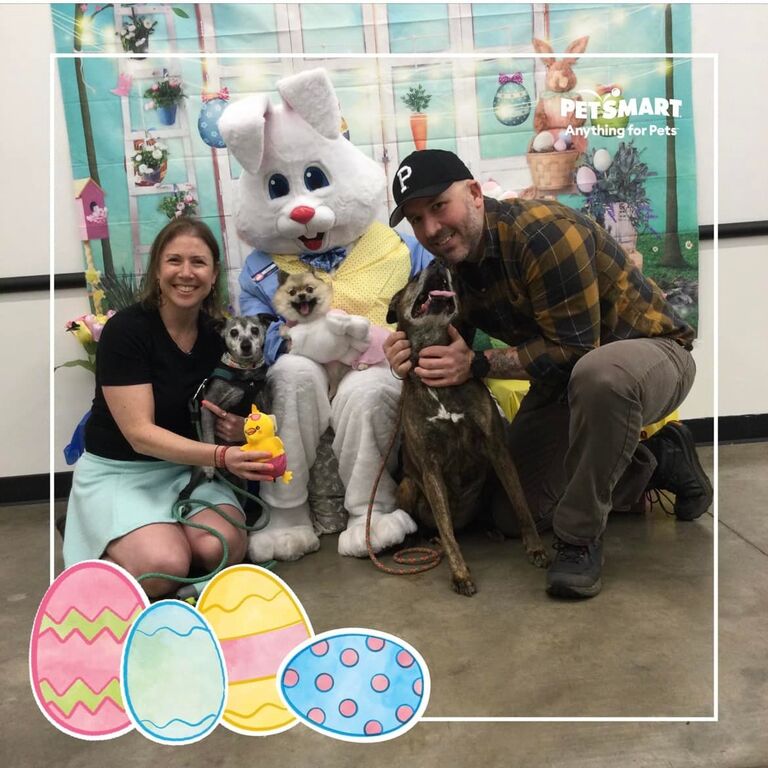 Easter with all the dogs