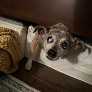 Gallery Photo 29