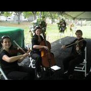 New Orleans Classical & Jazz - String Quartet - New Orleans, LA - Hero Main