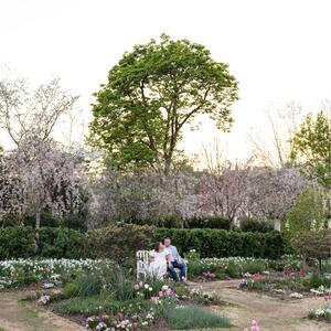 Gallery Photo 35