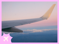 Airplane wing in air, how to fly with a wedding dress