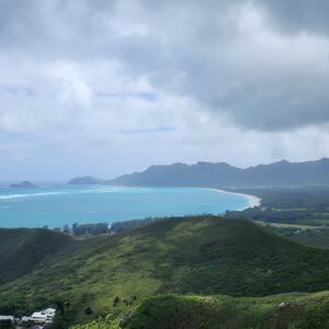 Gallery Photo 26
