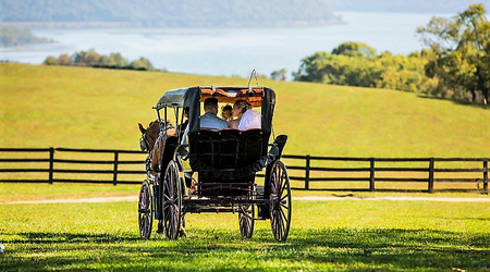 Future of Philly horse-drawn carriage rides uncertain - WHYY