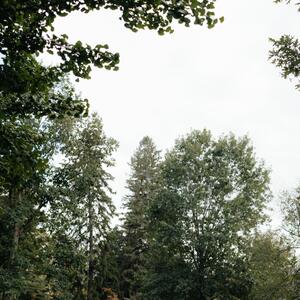 Gallery Photo 8