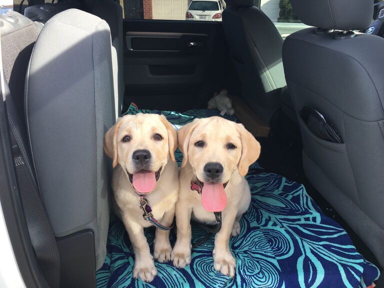 New additions. Lana and Ella