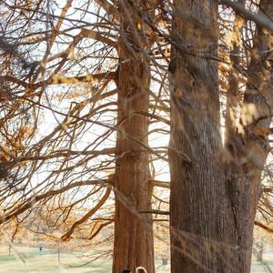 Gallery Photo 374