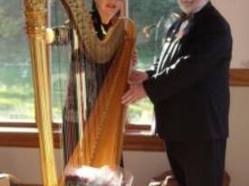 Susan McLain- The Harpist With Greensleeves - Harpist - Seattle, WA - Hero Gallery 3