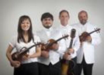 The Allegretto Ensemble - String Quartet - Vista, CA - Hero Main