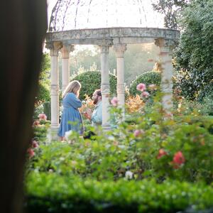 Gallery Photo 1