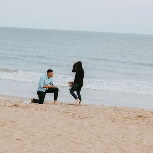 Gallery Photo 7