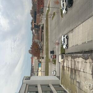 Gallery Photo 6