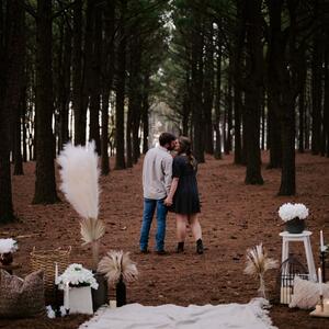 Gallery Photo 6