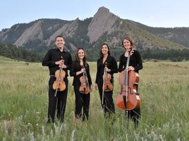 Front Range Strings - Classical Quartet - Denver, CO - Hero Gallery 2