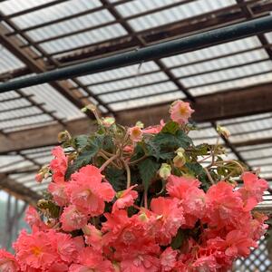 Gallery Photo 5