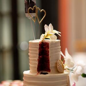 Gallery Photo 41