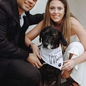 Gallery Photo 26