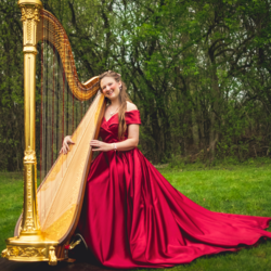 Chanah Ambuter: Michigan Harpist, profile image
