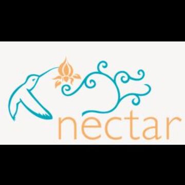 Nectar - Florist - Charlotte, NC - Hero Main
