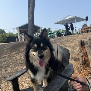 Gallery Photo 28