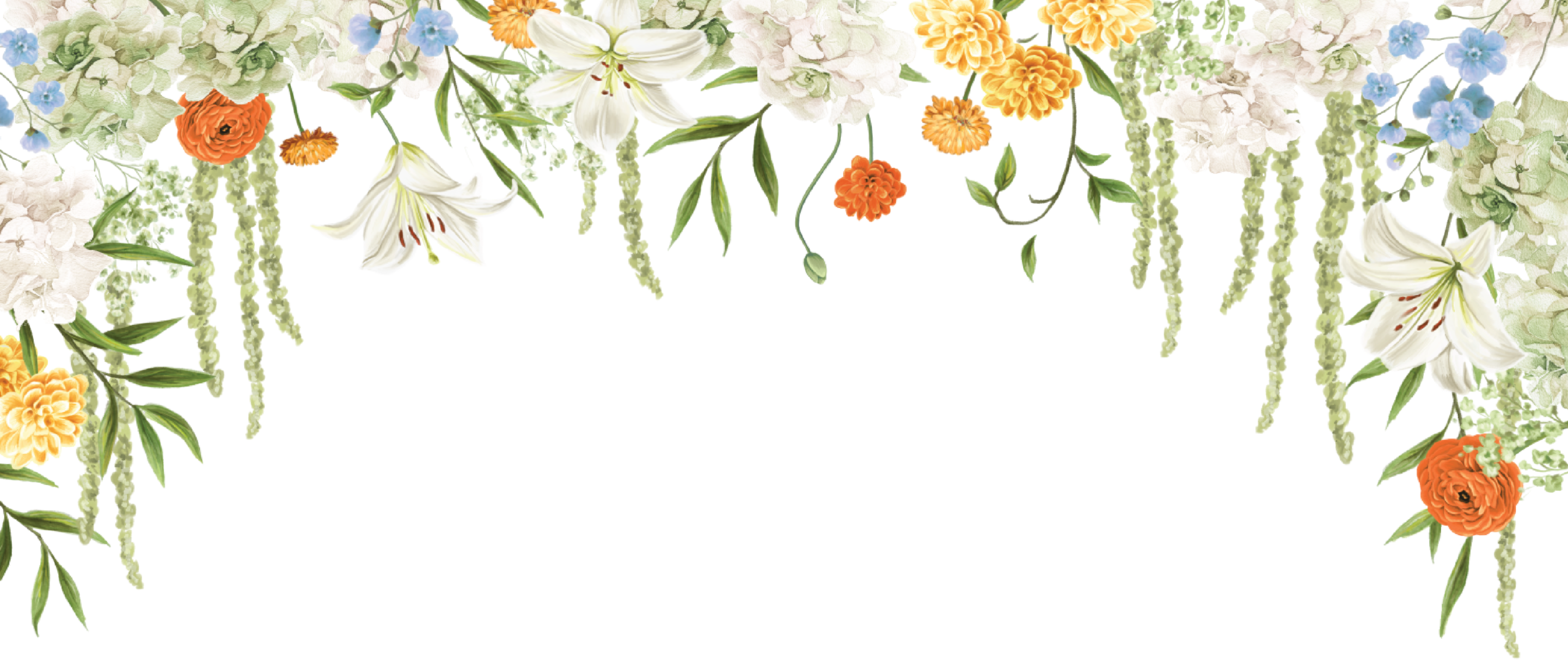 Top Theme Image