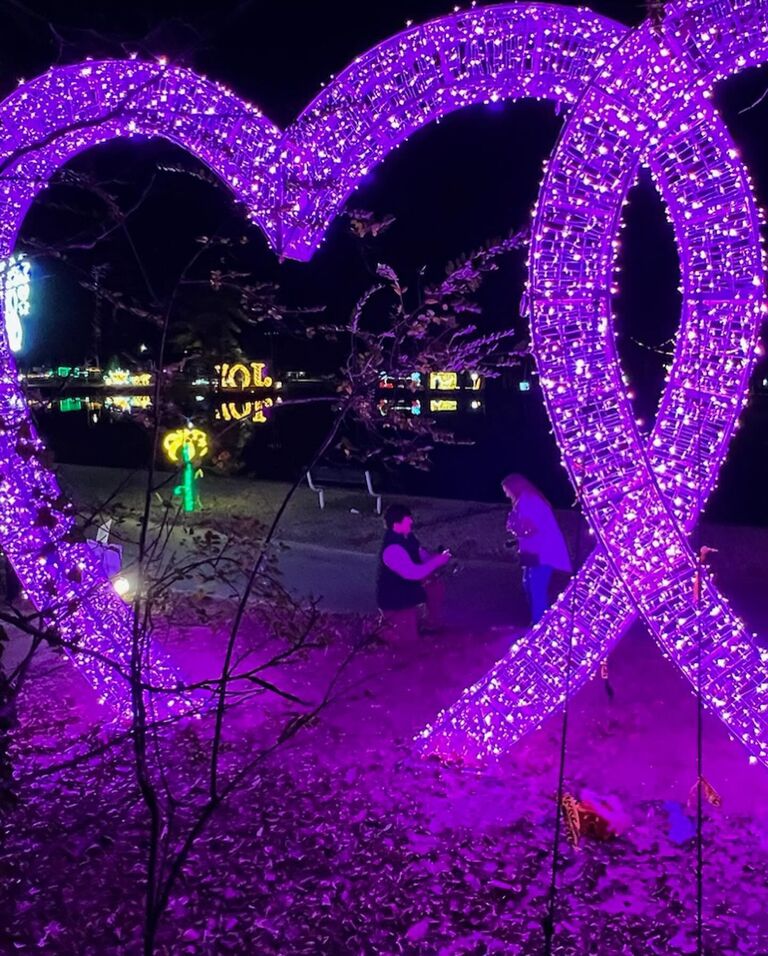 The actual proposal site!