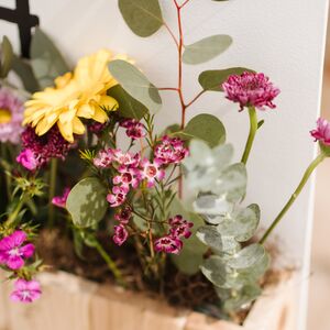 Gallery Photo 441
