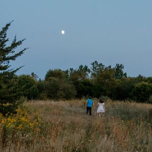 Gallery Photo 7
