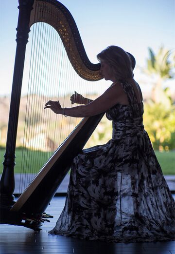 Divine Harp Music - Harpist - Parker, CO - Hero Main