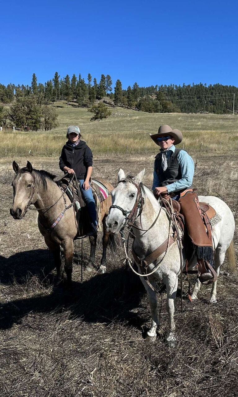 Working cows together for the first time.